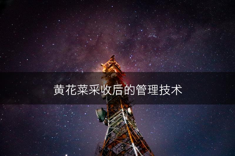 黄花菜采收后的管理技术(图1)