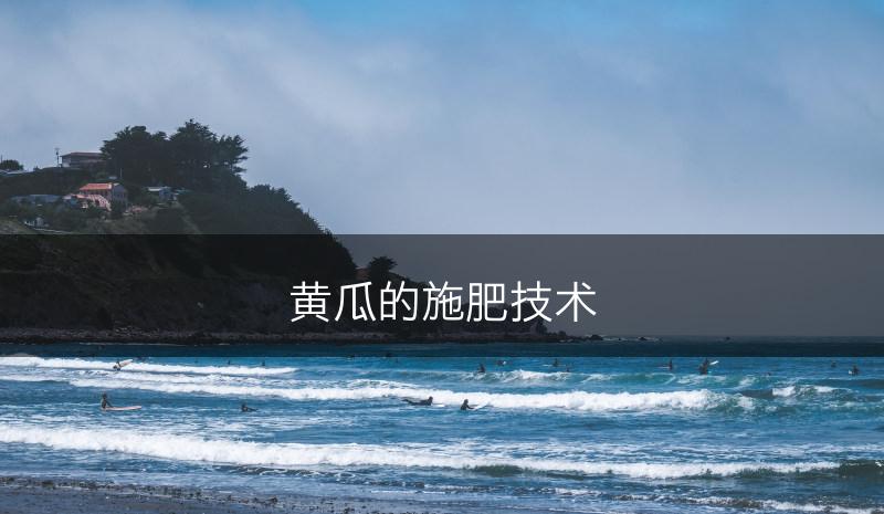 黄瓜的施肥技术(图1)