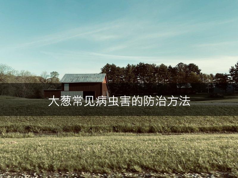 大葱常见病虫害的防治方法(图1)