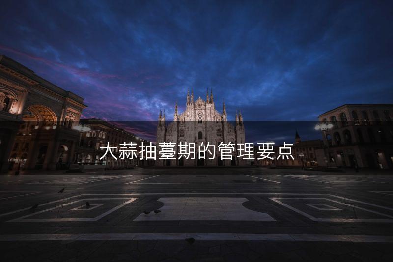 大蒜抽薹期的管理要点(图1)