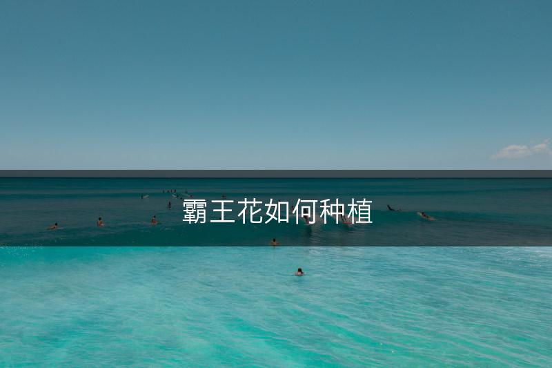 霸王花如何种植(图1)