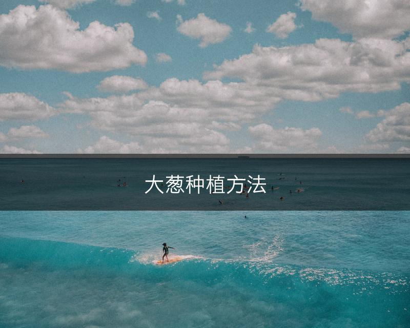大葱种植方法(图1)