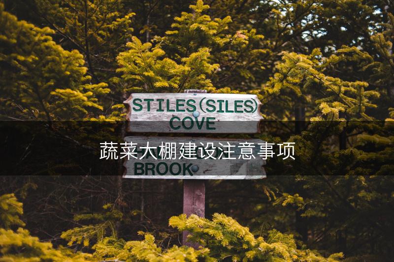 蔬菜大棚建设注意事项(图1)
