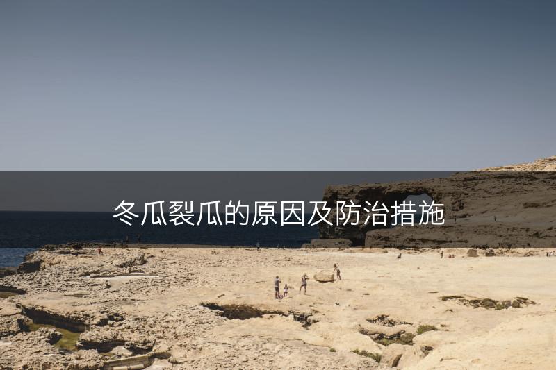 冬瓜裂瓜的原因及防治措施(图1)