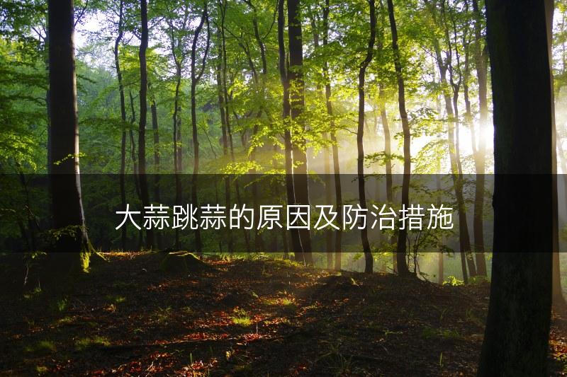 大蒜跳蒜的原因及防治措施(图1)