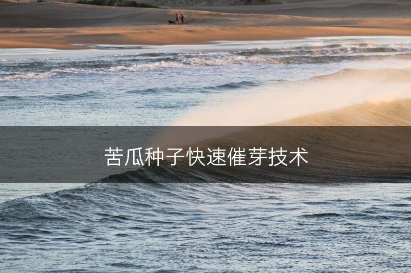苦瓜种子快速催芽技术(图1)