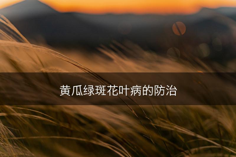 黄瓜绿斑花叶病的防治(图1)