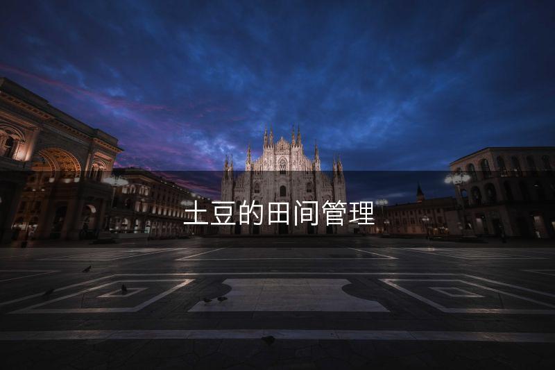 土豆的田间管理(图1)