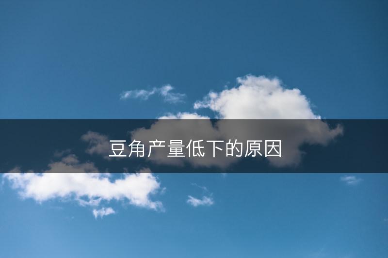 豆角产量低下的原因(图1)