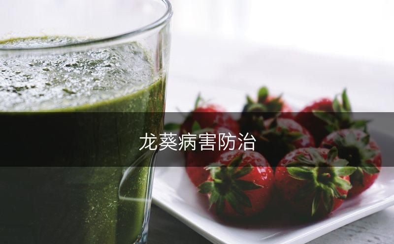 龙葵病害防治(图1)
