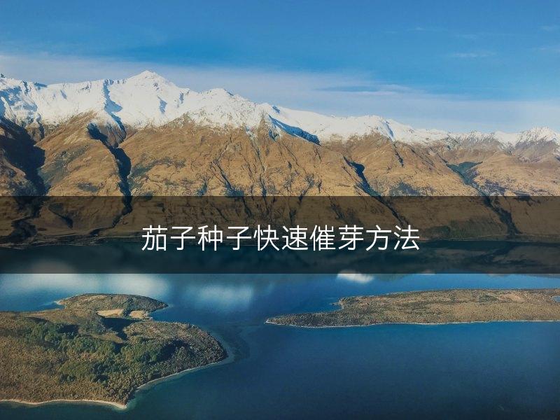 茄子种子快速催芽方法(图1)