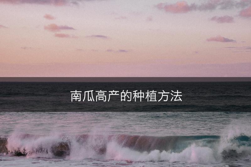 南瓜高产的种植方法(图1)