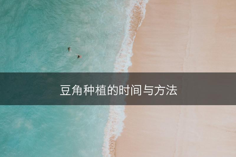 豆角种植的时间与方法(图1)