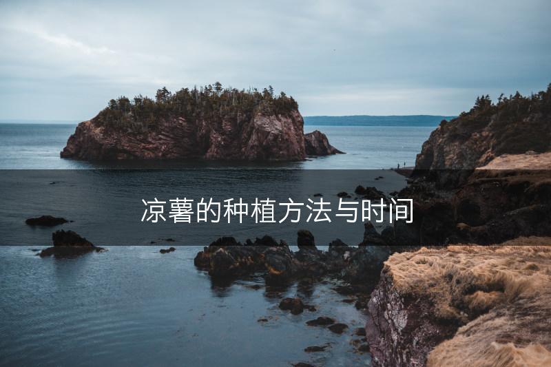 凉薯的种植方法与时间(图1)