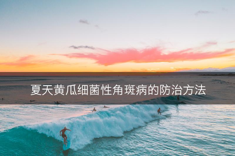 夏天黄瓜细菌性角斑病的防治方法(图1)