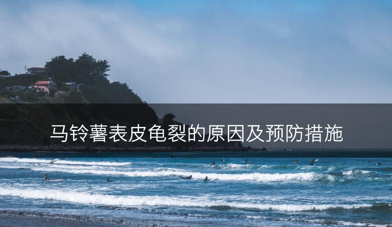 马铃薯表皮龟裂的原因及预防措施(图1)