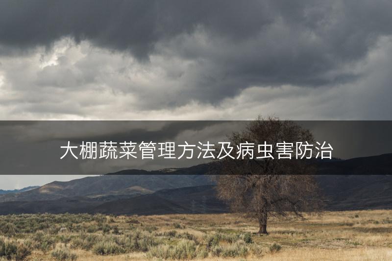 大棚蔬菜管理方法及病虫害防治(图1)