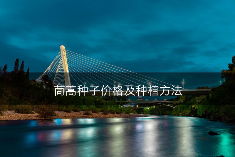 茼蒿种子价格及种植方法(图1)