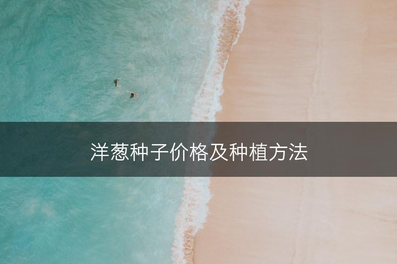 洋葱种子价格及种植方法(图1)