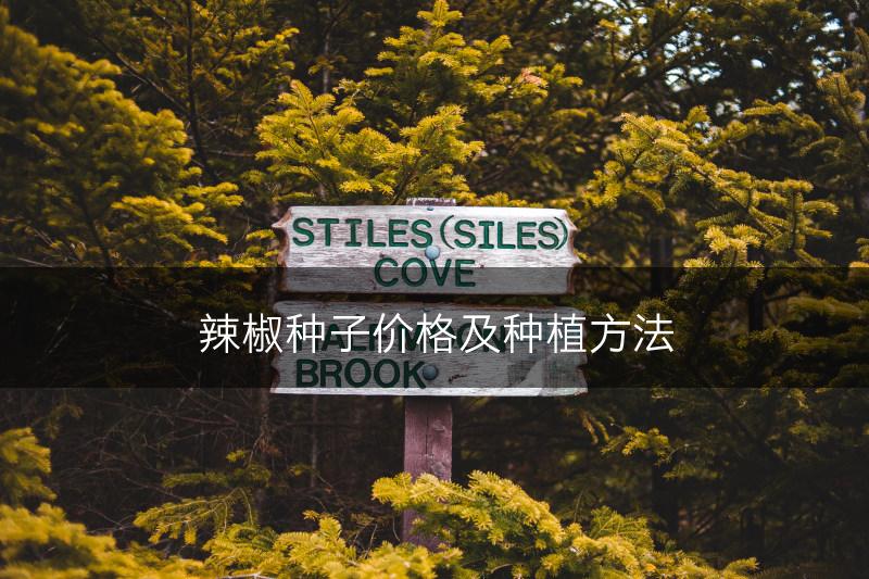 辣椒种子价格及种植方法(图1)