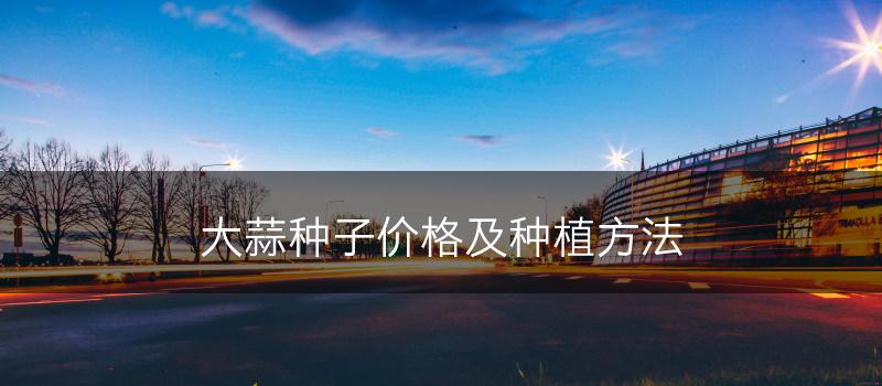 大蒜种子价格及种植方法(图1)