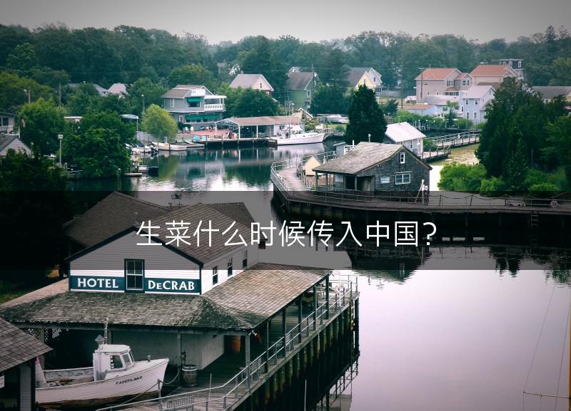 生菜什么时候传入中国？(图1)