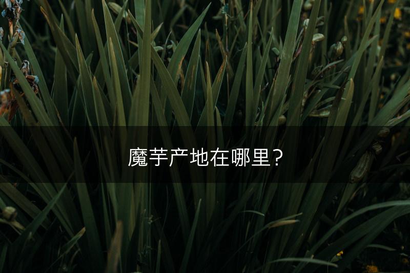 魔芋产地在哪里？(图1)