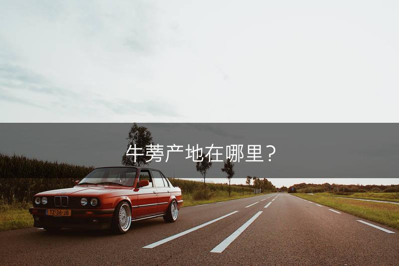 牛蒡产地在哪里？(图1)