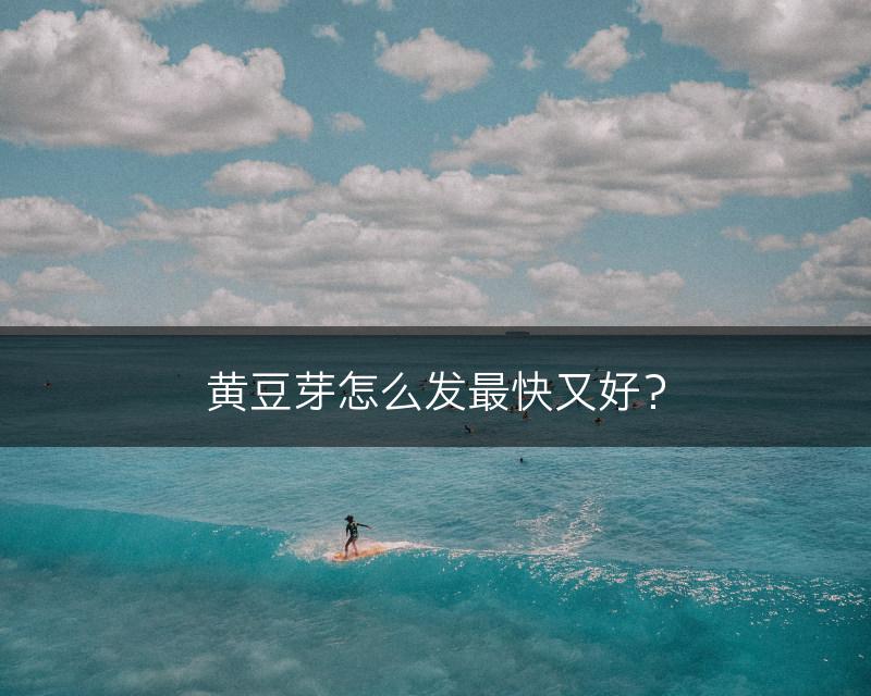 黄豆芽怎么发最快又好？(图1)