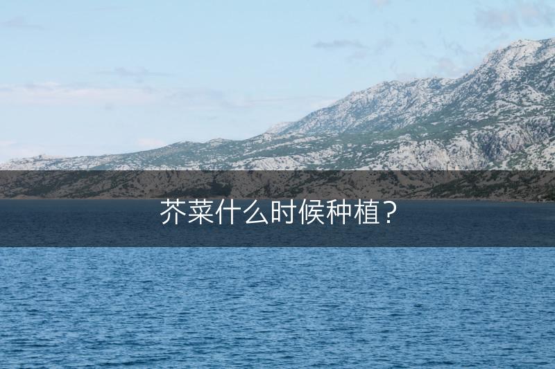 芥菜什么时候种植？(图1)