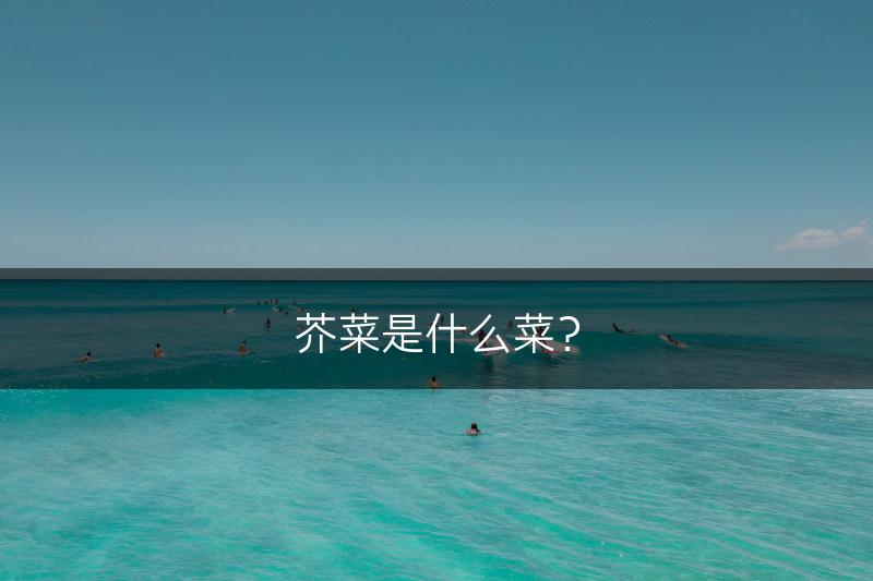 芥菜是什么菜？(图1)