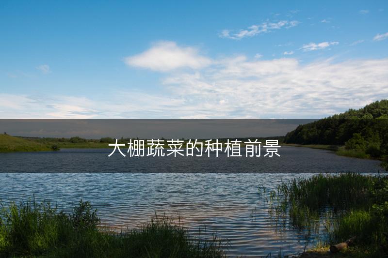 大棚蔬菜的种植前景(图1)