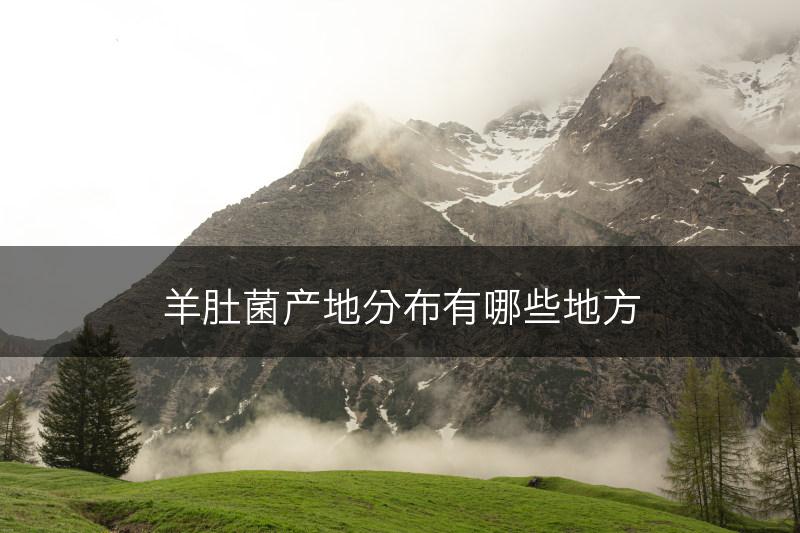 羊肚菌产地分布有哪些地方(图1)