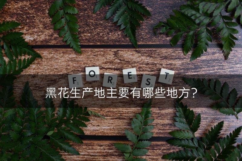 黑花生产地主要有哪些地方？(图1)
