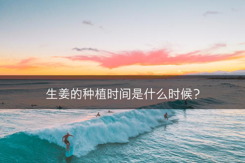 生姜的种植时间是什么时候？(图1)