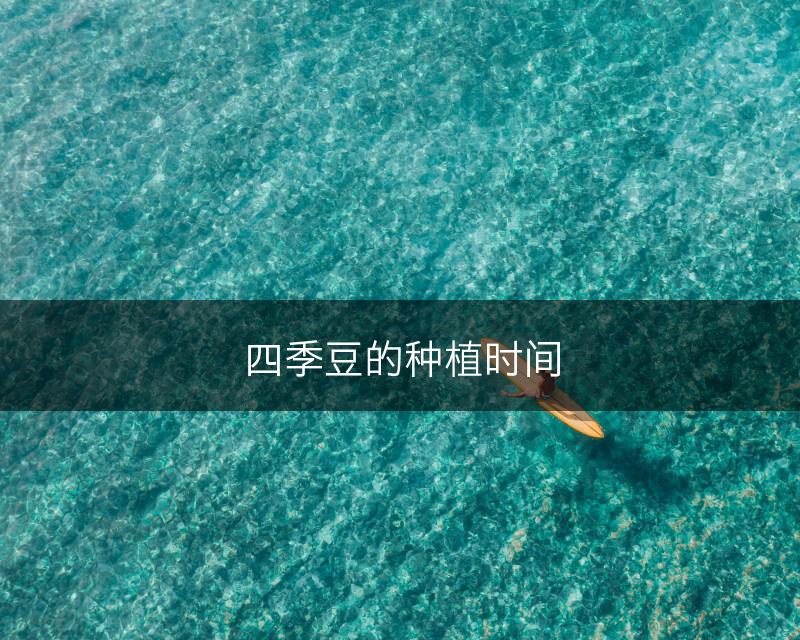四季豆的种植时间(图1)