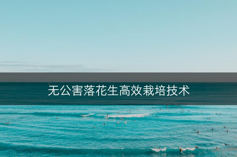 无公害落花生高效栽培技术(图1)