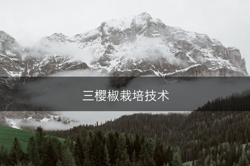 三樱椒栽培技术(图1)