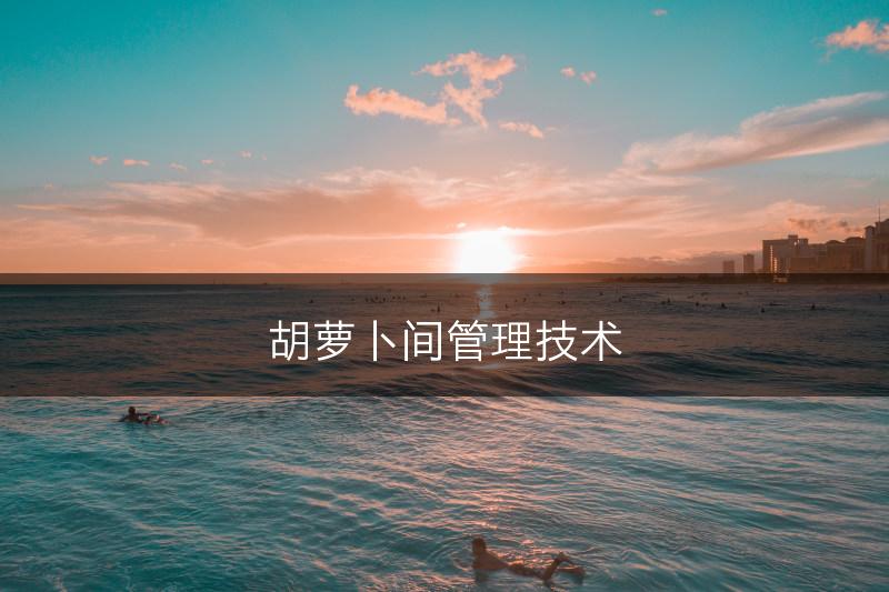 胡萝卜间管理技术(图1)