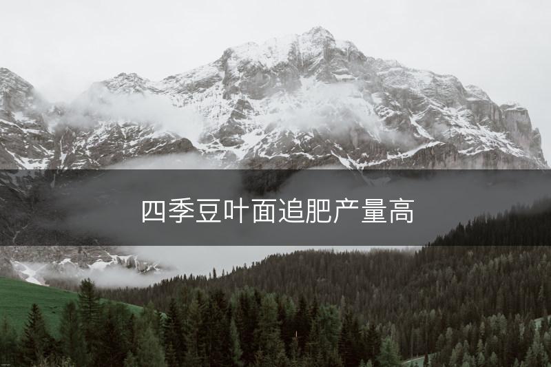 四季豆叶面追肥产量高(图1)