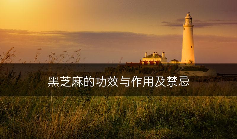 黑芝麻的功效与作用及禁忌(图1)
