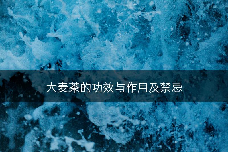 大麦茶的功效与作用及禁忌(图1)