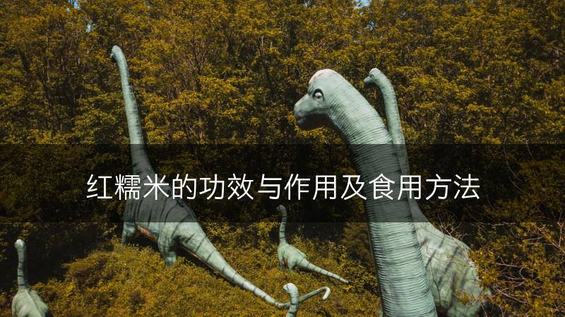 红糯米的功效与作用及食用方法(图1)