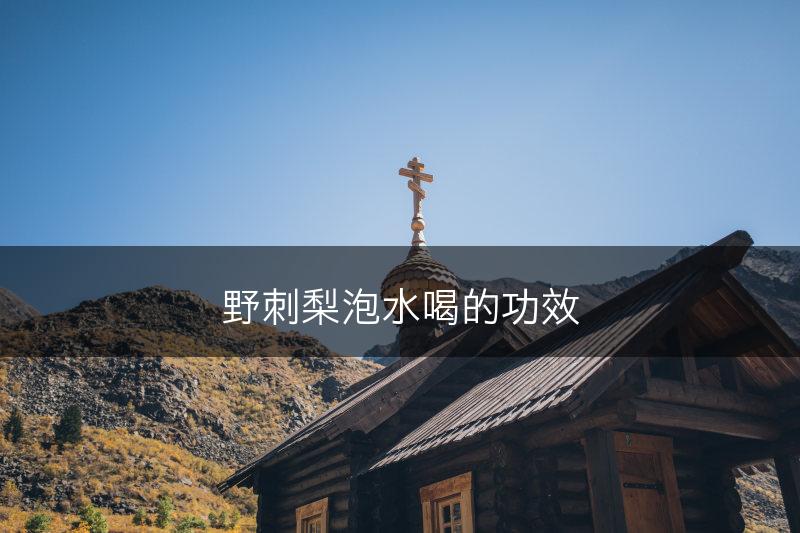 野刺梨泡水喝的功效(图1)