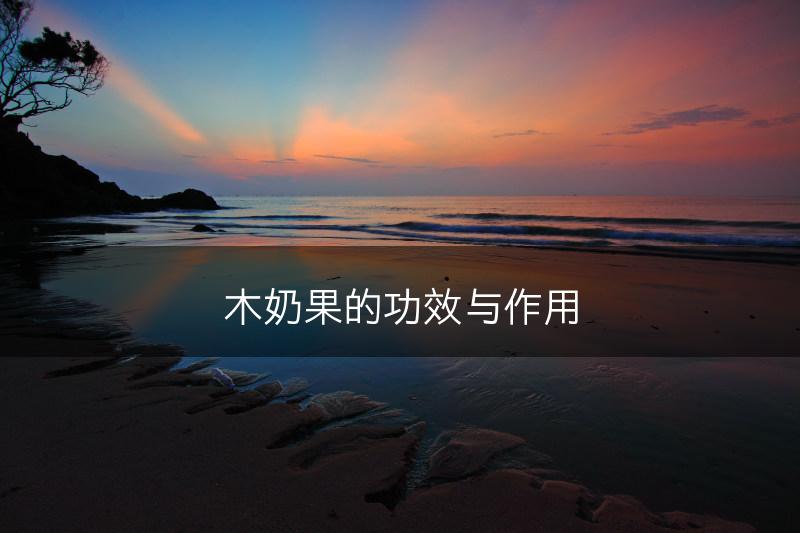 木奶果的功效与作用(图1)