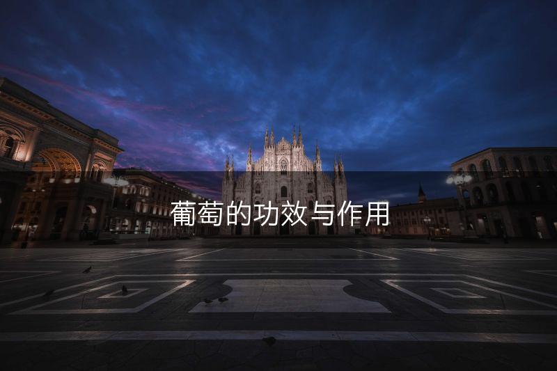 葡萄的功效与作用(图1)
