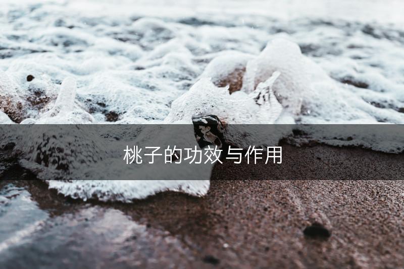 桃子的功效与作用(图1)