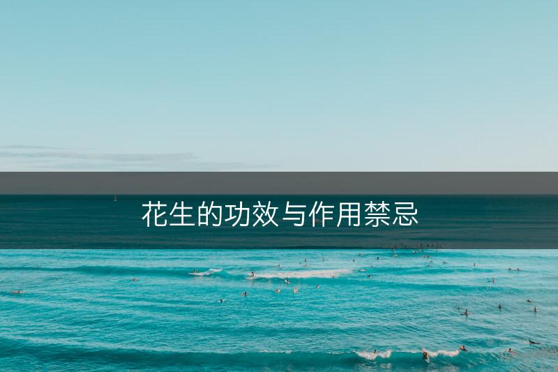 花生的功效与作用禁忌(图1)