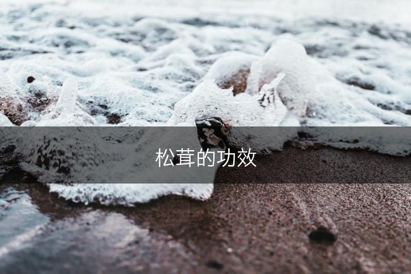 松茸的功效(图1)