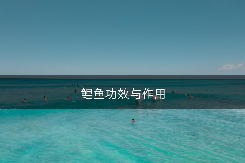 鲤鱼功效与作用(图1)